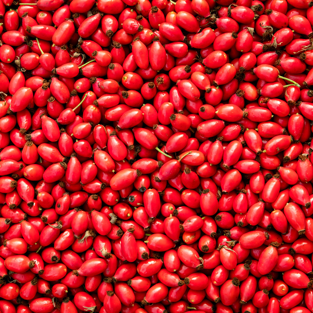 Savon Anti Psoriasis & Eczéma Apaise les Démangeaisons - à la Rose Musquée - 110 grammes - 100% végétal